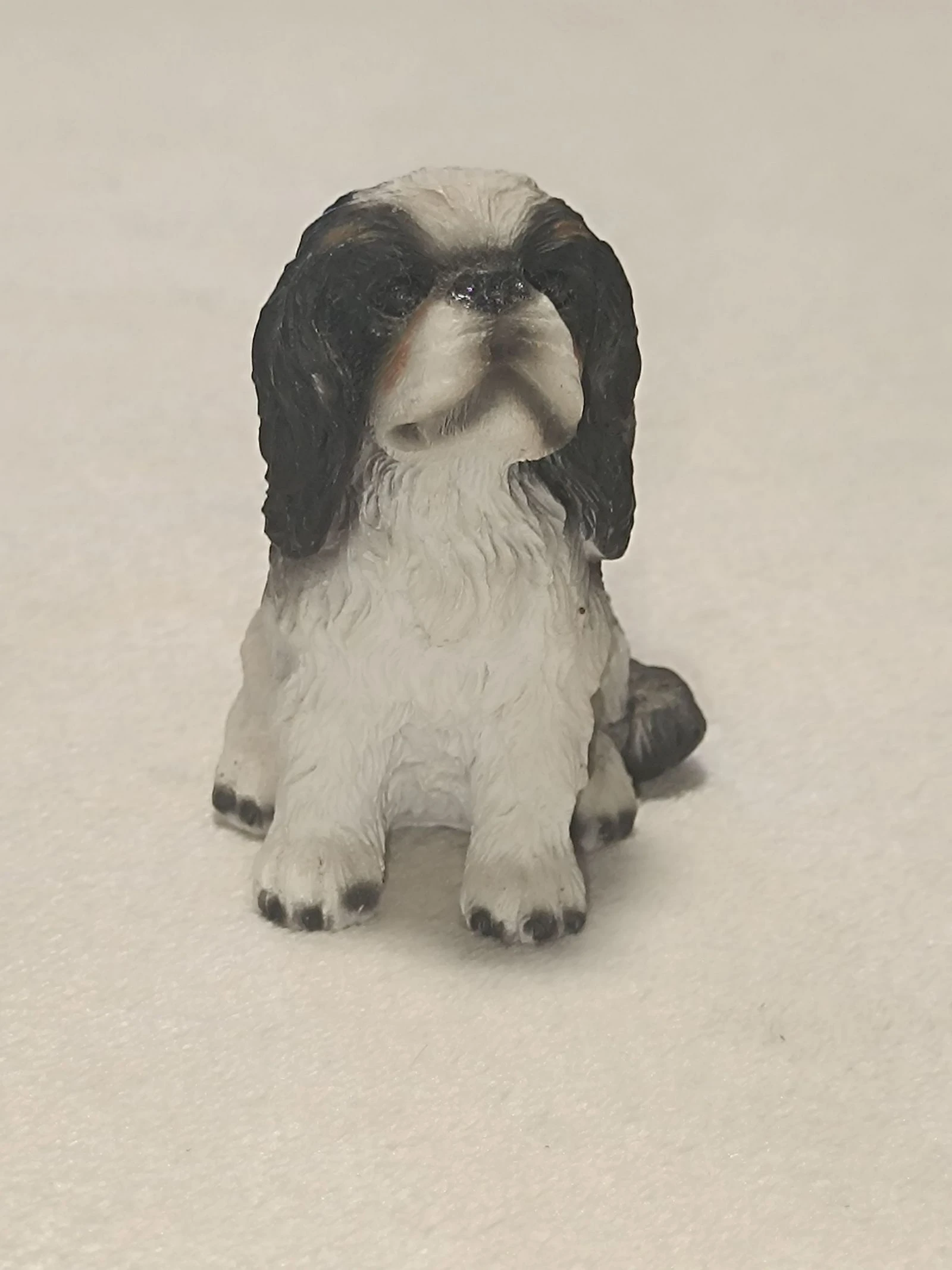 Miniatura de cachorro 🐶 Cavalier King Charles 🤎 – photo 2